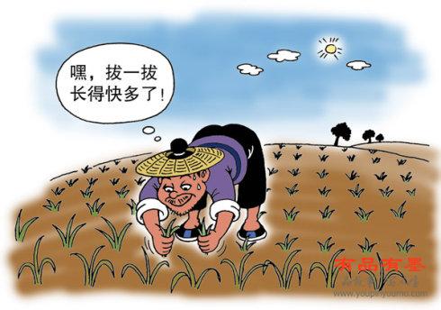 揠苗助长